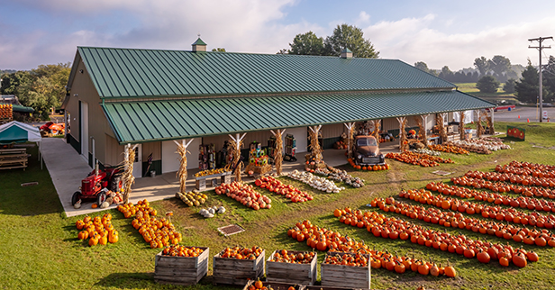 white-house-fruit-farm.jpg